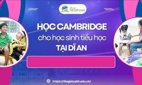 Học Cambridge cho học sinh tiểu học tại Dĩ An