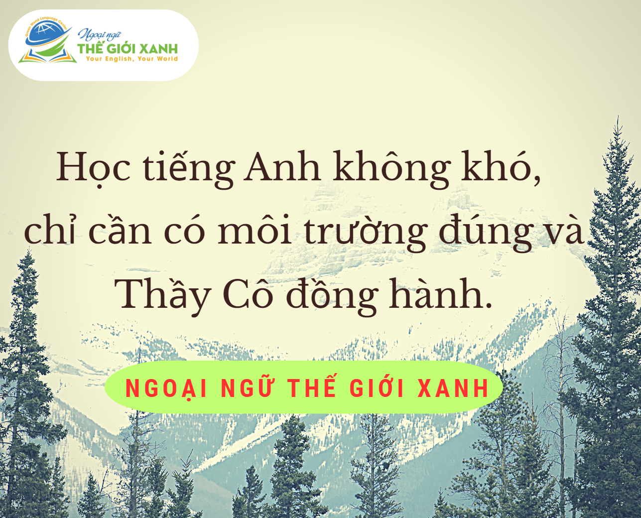 Luyện Cambridge Movers cho bé lớp 3 tại Dĩ An